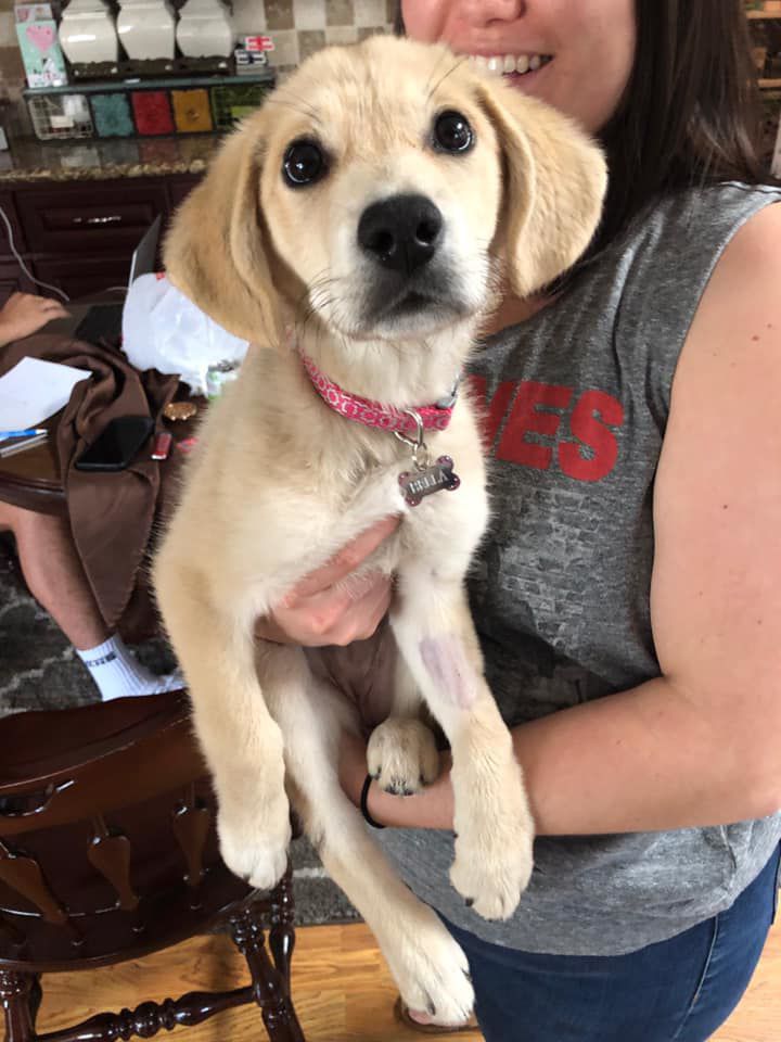 bella14